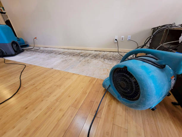 Professional Water Extraction technician working in Grove City, PA